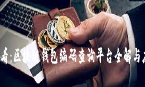 2025必看：区块链钱包编码查询平台全解与应用指南