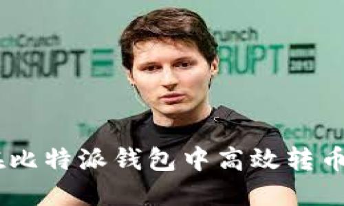 立即了解如何在比特派钱包中高效转币！2025必看指南
