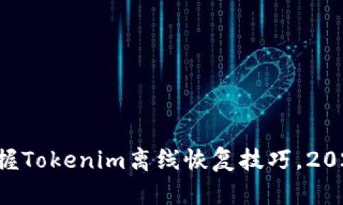 立即掌握Tokenim离线恢复技巧，2025必看！