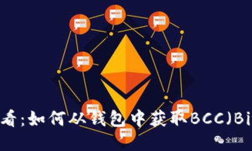 立即领取！比特币用户必看：如何从钱包中获取BCC（Bitcoin Cash）的详细指南