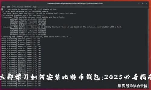 立即学习如何安装比特币钱包：2025必看指南