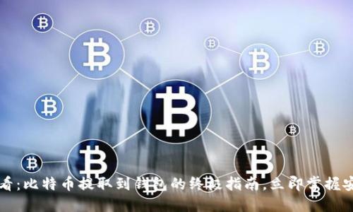2025必看：比特币提取到钱包的终极指南，立即掌握安全操作！