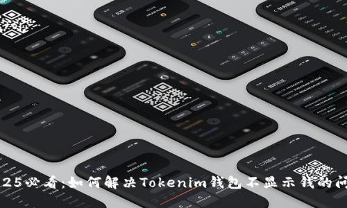 2025必看：如何解决Tokenim钱包不显示钱的问题