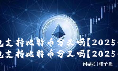 币信钱包支持比特币分叉吗？2025必看指南
币信钱包支持比特币分叉吗？2025必看指南