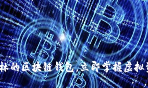 2025必看：以太森林的区块链钱包，立即掌握虚拟资产的安全与便捷！