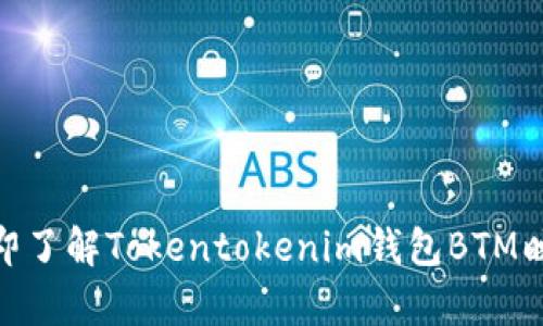 2025必看！立即了解Tokentokenim钱包BTM映射的详细解析