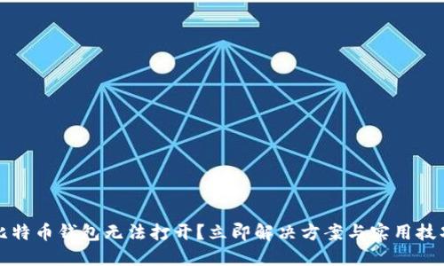 比特币钱包无法打开？立即解决方案与实用技巧