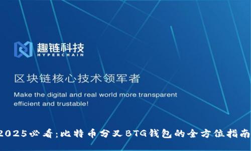 2025必看：比特币分叉BTG钱包的全方位指南！