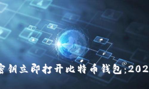 如何使用密钥立即打开比特币钱包：2025必看指南