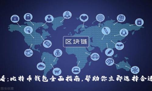 2025必看：比特币钱包全面指南，帮助你立即选择合适的钱包！