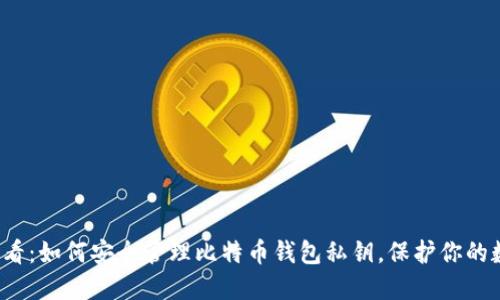 2025必看：如何安全管理比特币钱包私钥，保护你的数字资产