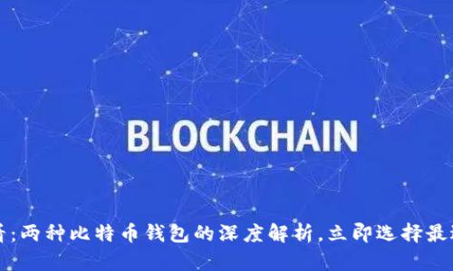 2025必看：两种比特币钱包的深度解析，立即选择最适合你的！