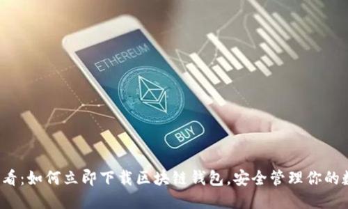 2025必看：如何立即下载区块链钱包，安全管理你的数字资产