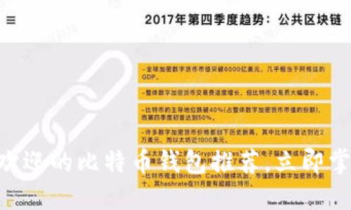 2025必看：中国最受欢迎的比特币钱包推荐，立即掌握数字货币投资机遇