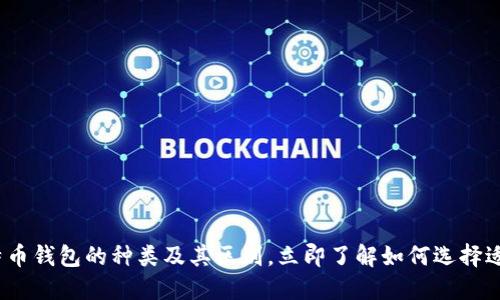 2025必看：比特币钱包的种类及其区别，立即了解如何选择适合自己的钱包！
