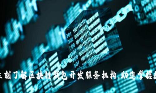 2025必看：立刻了解区块链钱包开发服务机构，助您掌握数字货币未来