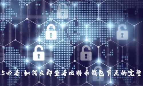 2025必看：如何立即查看比特币钱包节点的完整指南