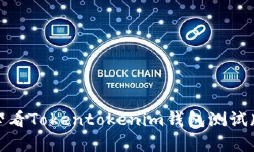 立即尝试！2025必看Tokentokenim钱包测试版解析与使用技巧