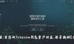 2025必看：若您的Tokenim钱包资产被盗，能否找回？