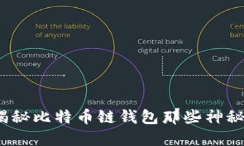 2025必看：揭秘比特币链钱包那些神秘的数字开头！