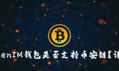 TokenTokenIM钱包是否支持币安链？详解与解析