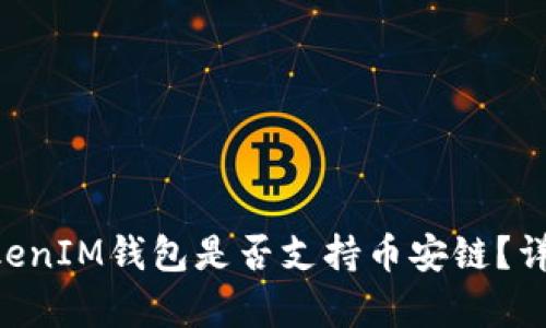 TokenTokenIM钱包是否支持币安链？详解与解析