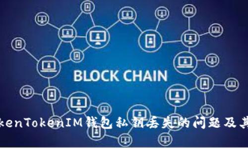 如何处理TokenTokenIM钱包私钥丢失的问题及其安全性分析