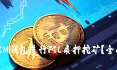 如何利用TokenTokenIM钱包进行FIL质押挖矿？全面指