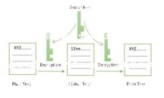 jiaoti如何查看对方Tokenim钱包中的币种信息/jiaot