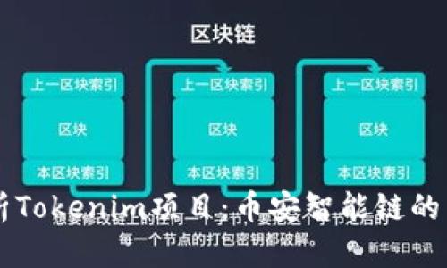 深入解析Tokenim项目：币安智能链的未来潜力