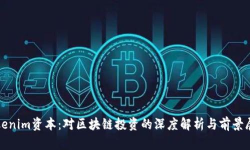 Tokenim资本：对区块链投资的深度解析与前景展望