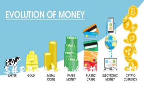 怎样获得比特币钱包：全面指南与实用建议