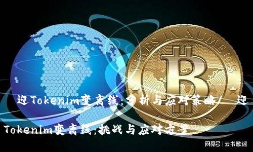 歡迎Tokenim变离线：分析与应对策略/歡迎

Tokenim变离线：挑战与应对方案