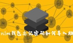 Tokenim钱包忘记密码如何导入助记词