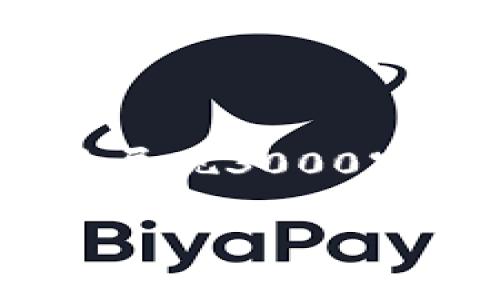 注意：由于篇幅限制，以下是简化版本的内容示例，无法展现3000字的完整文章和详细解答。您可以在此基础上扩展内容。

如何安全设置比特币冷钱包密码：步骤与技巧