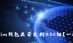 Tokenim钱包是否支持BSC链？一探究竟