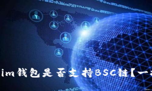 Tokenim钱包是否支持BSC链？一探究竟