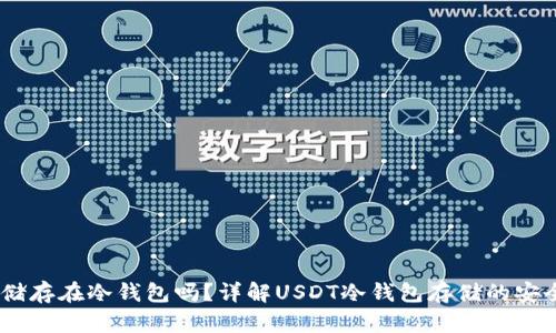 USDT可以储存在冷钱包吗？详解USDT冷钱包存储的安全性与方法