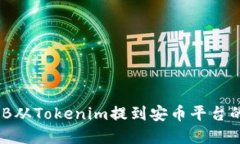 如何将BNB从Tokenim提到安币平台的完整指南