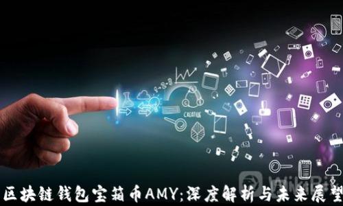 
区块链钱包宝箱币AMY：深度解析与未来展望