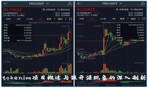 tokenim项目概述与假开源现象的深入剖析