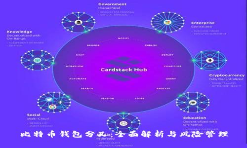 比特币钱包分叉：全面解析与风险管理