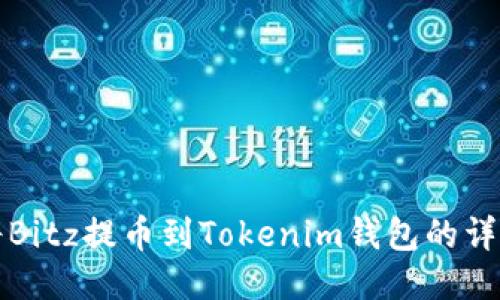 如何将Bitz提币到Tokenim钱包的详细指南