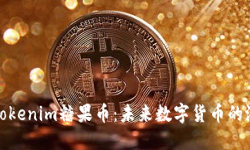 深入了解Tokenim糖果币：未来数字货币的潜力与风险
